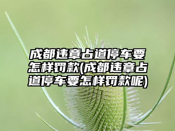 成都违章占道停车要怎样罚款(成都违章占道停车要怎样罚款呢)  第1张