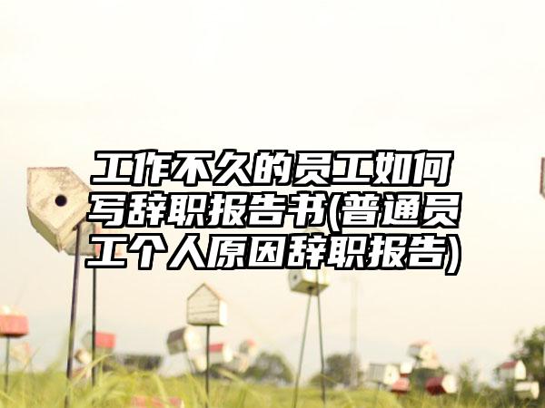 工作不久的员工如何写辞职报告书(普通员工个人原因辞职报告)