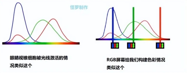 5种最奇怪的动物眼睛：它们看到的世界 我们无法想象  第4张