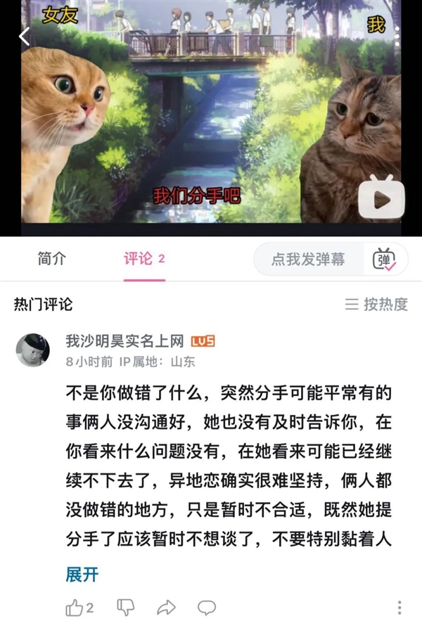 这届年轻人 正在用小猫演绎自己的精神状态  第22张