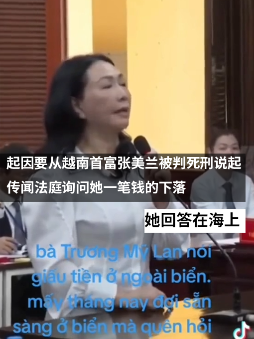 越南女首富被判刑：网友为找到她的宝藏集体化身海贼王  第3张