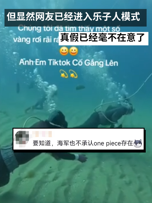 越南女首富被判刑：网友为找到她的宝藏集体化身海贼王  第11张