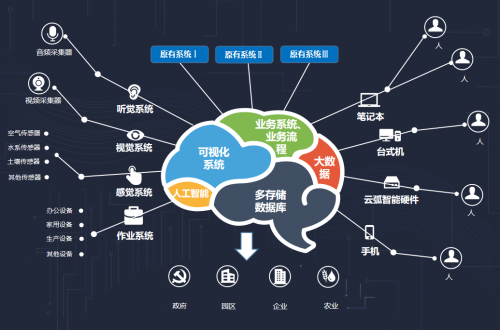 大脑升级攻略：存储空间不足怎么办？运行速度如何提升？  第3张