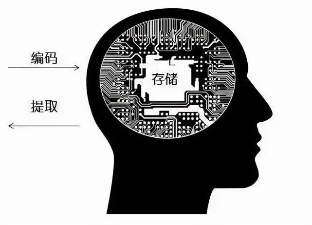 游戏内存大作战：挑战你的大脑还是提升你的社交？  第3张