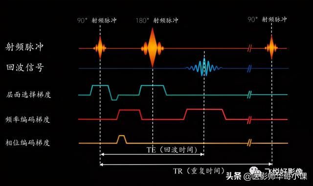 全球首款抗磁内存包装klevv内存包装：安全、创新、引领未来