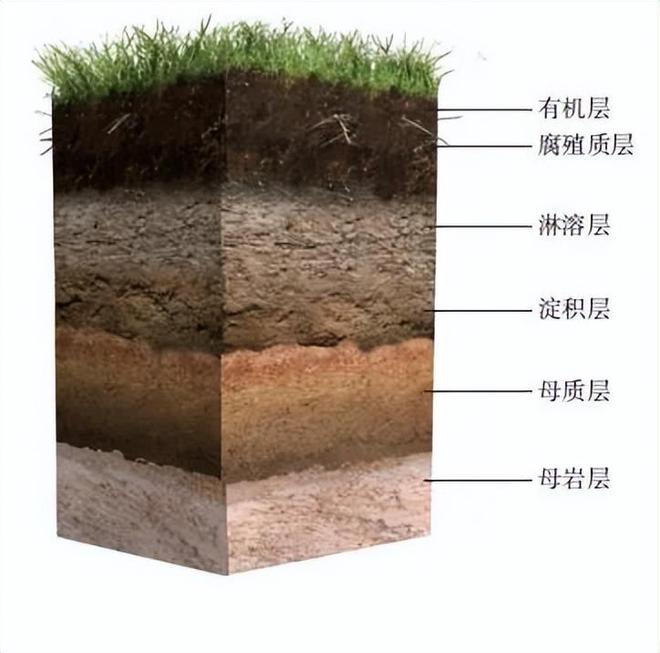 科赋内存3000时序：重塑你的电脑体验  第2张