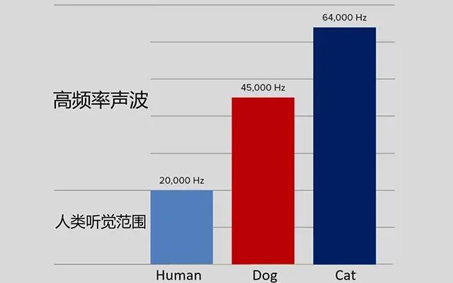 内存条933.2：从平凡到极速的激情之旅