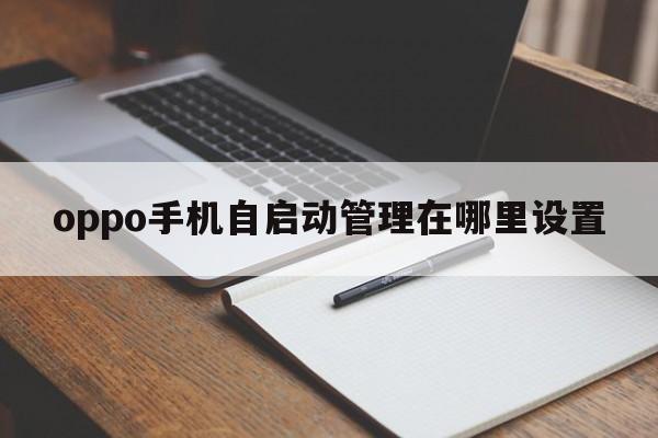 oppo手机自启动管理在哪里设置