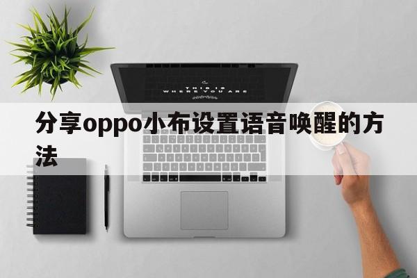 分享oppo小布设置语音唤醒的方法  第1张