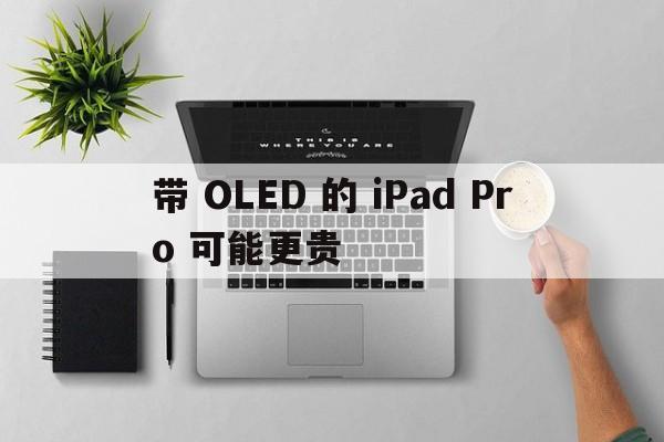 带 OLED 的 iPad Pro 可能更贵  第1张