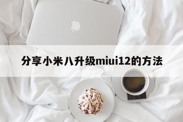 分享小米八升级miui12的方法  第1张