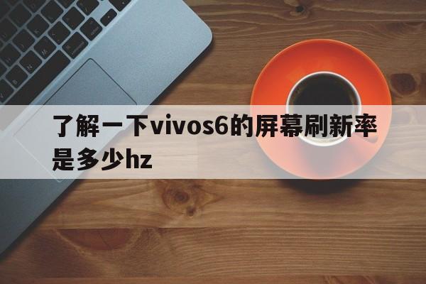 了解一下vivos6的屏幕刷新率是多少hz  第1张