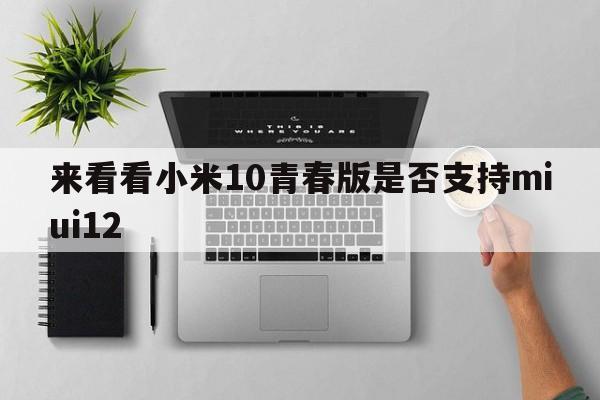 来看看小米10青春版是否支持miui12  第1张