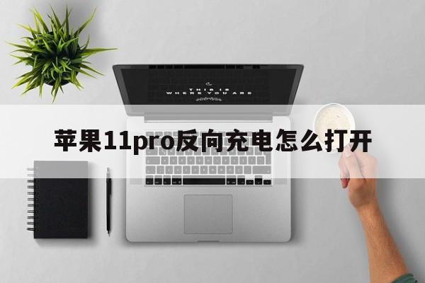 苹果11pro反向充电怎么打开  第1张