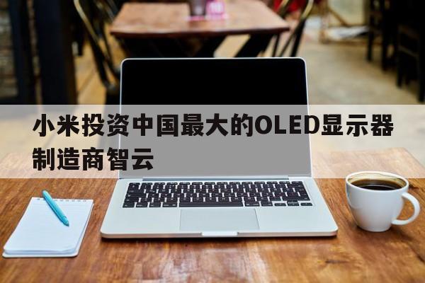 小米投资中国最大的OLED显示器制造商智云  第1张