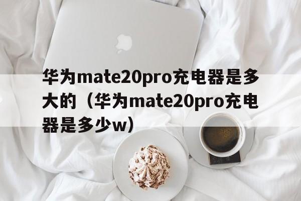 华为mate20pro充电器是多大的（华为mate20pro充电器是多少w）  第1张