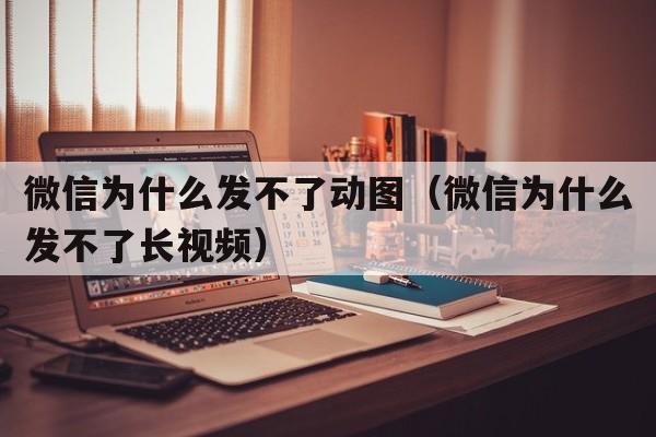 微信为什么发不了动图（微信为什么发不了长视频）  第1张