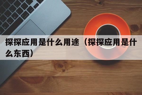 探探应用是什么用途（探探应用是什么东西）