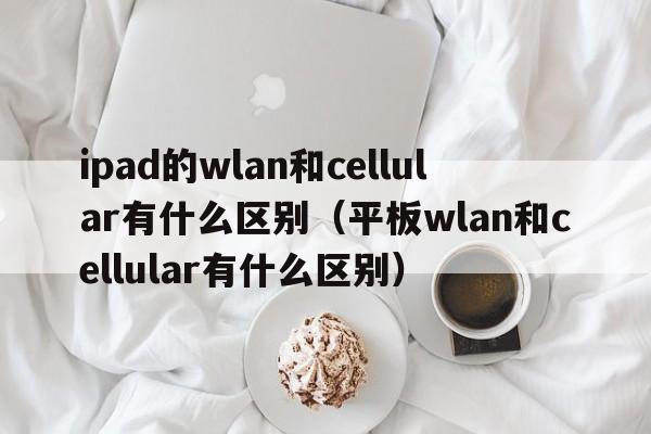 ipad的wlan和cellular有什么区别（平板wlan和cellular有什么区别）  第1张