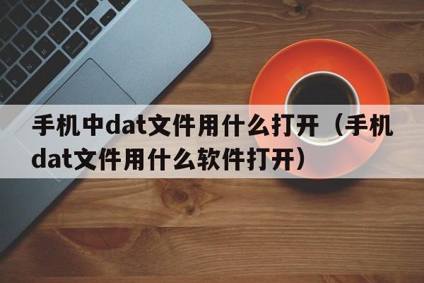 手机中dat文件用什么打开（手机dat文件用什么软件打开）  第1张