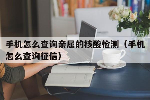 手机怎么查询亲属的核酸检测（手机怎么查询征信）  第1张