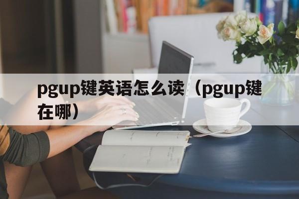 pgup键英语怎么读（pgup键在哪）  第1张