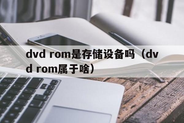 dvd rom是存储设备吗（dvd rom属于啥）