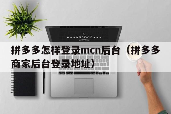 拼多多怎样登录mcn后台（拼多多商家后台登录地址）  第1张