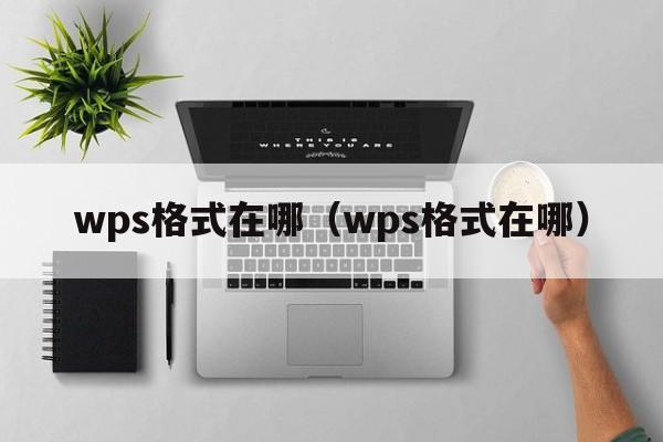 wps格式在哪（wps格式在哪）  第1张