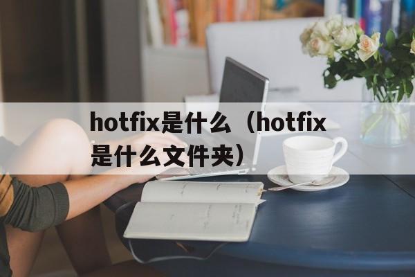 hotfix是什么（hotfix是什么文件夹）  第1张