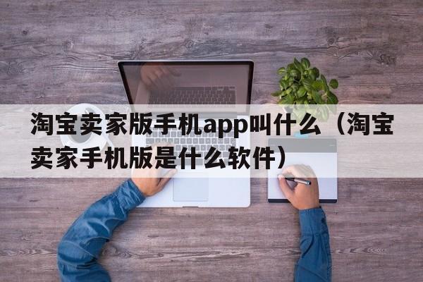 淘宝卖家版手机app叫什么（淘宝卖家手机版是什么软件）  第1张