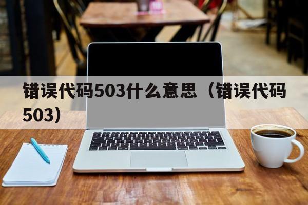 错误代码503什么意思（错误代码503）  第1张