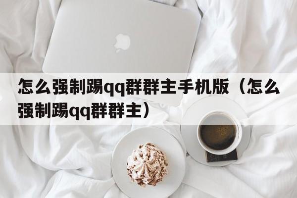 怎么强制踢qq群群主手机版（怎么强制踢qq群群主）  第1张