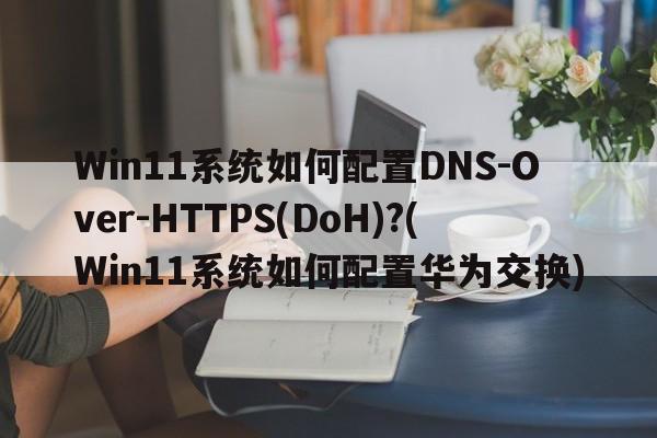 Win11系统如何配置DNS-Over-HTTPS(DoH)?(Win11系统如何配置华为交换)