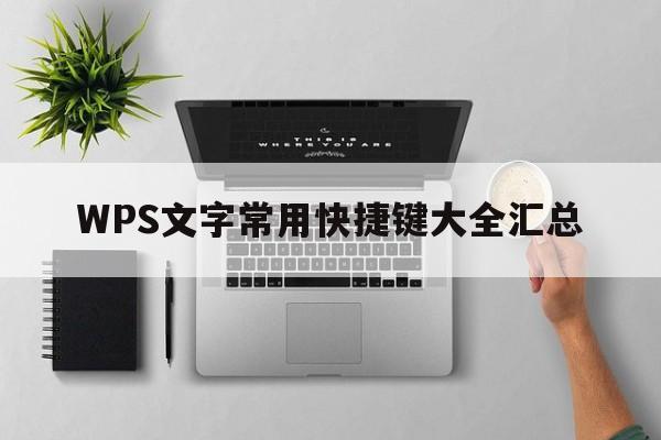 WPS文字常用快捷键大全汇总  第1张