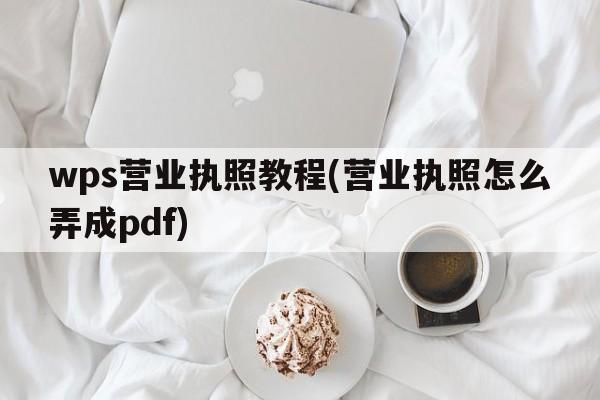 wps营业执照教程(营业执照怎么弄成pdf)  第1张