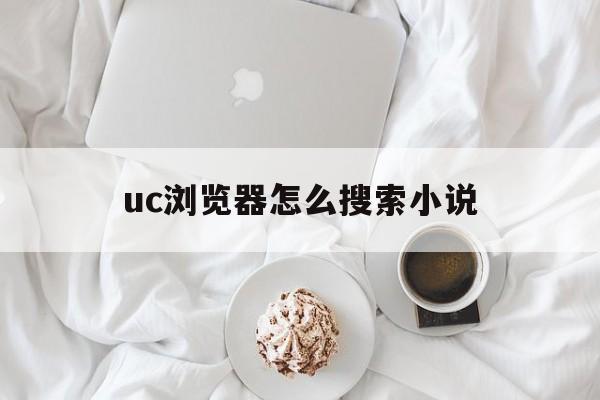 uc浏览器怎么搜索小说  第1张