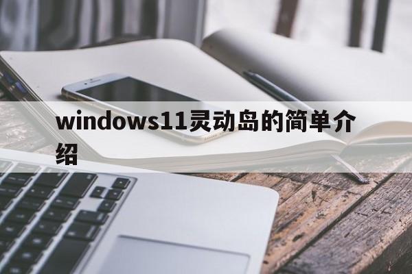 windows11灵动岛的简单介绍  第1张