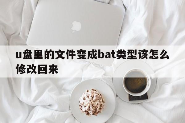 u盘里的文件变成bat类型该怎么修改回来  第1张