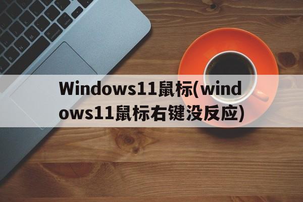 Windows11鼠标(windows11鼠标右键没反应)  第1张