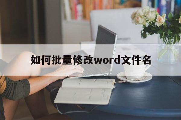 如何批量修改word文件名  第1张