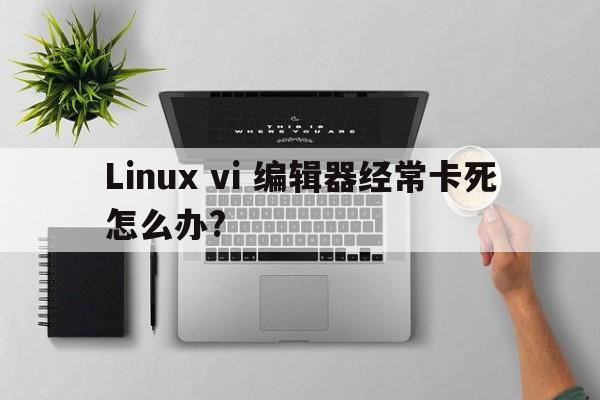 Linux vi 编辑器经常卡死怎么办?  第1张