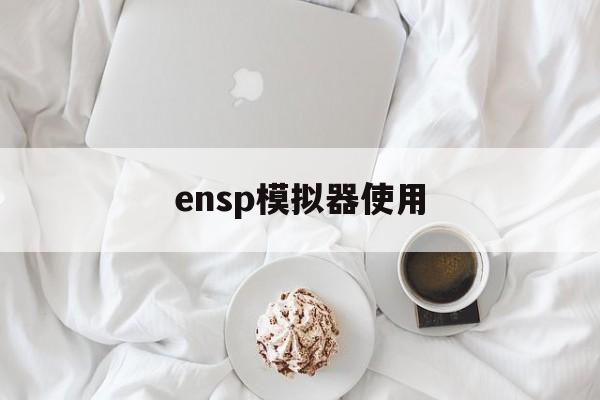 ensp模拟器使用